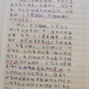 篮球训练心得300字左右三年级